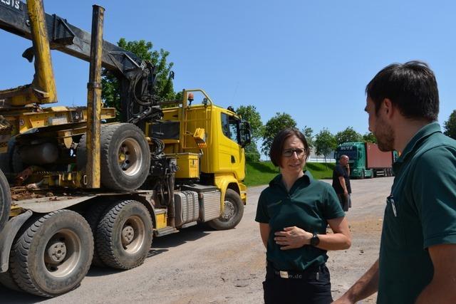 Fichtenholz aus dem Forstbezirk Kirchzarten wird nach China verschifft