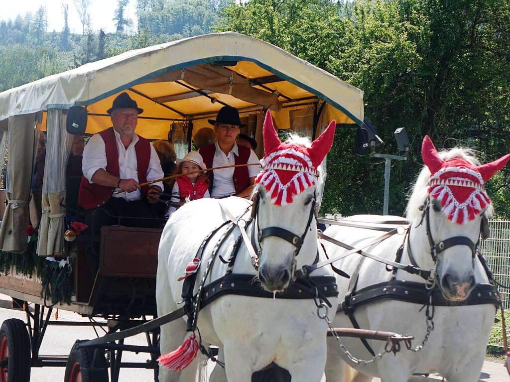 Mit Pferdestrken wurden die "Alten Mannen" durchs Dorf kutschiert.