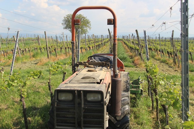 Ein Schmalspurschlepper mit einem ber...en vor einem berschlag schtzen soll.  | Foto: Horst David