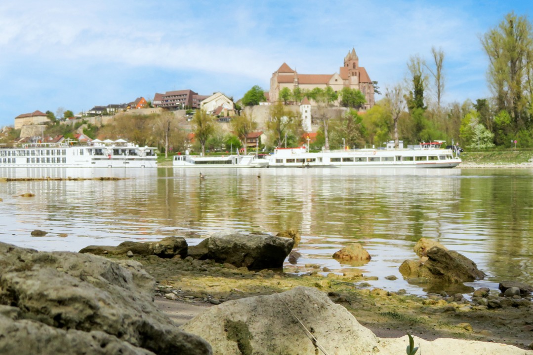 Und in der Mitte  ist alles im Fluss: ...er Rheininsel aufs Mnster in Breisach  | Foto: Ronja Vattes