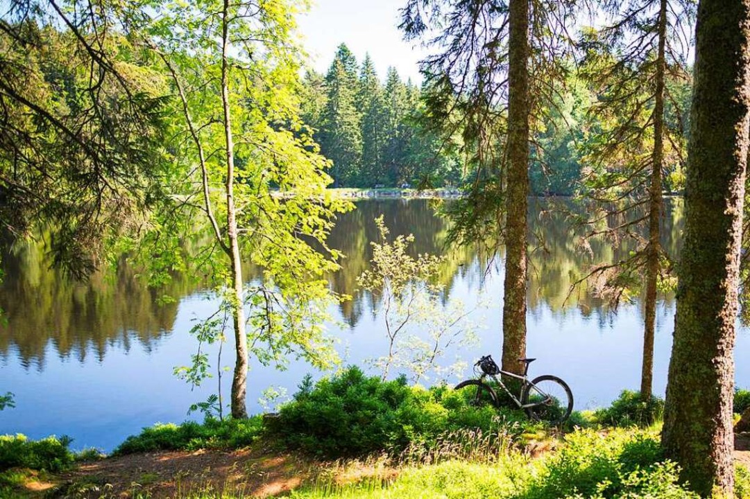 Perfekte Pause am See: Der bernsteinfa...iher bei Hinterzarten ist ein Kleinod.  | Foto: Hochschwarzwald Tourismus GmbH