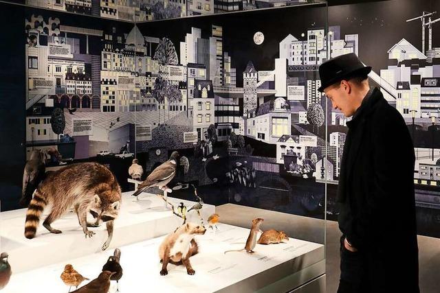 Die Basler Museumsnacht zeigt große Kunst und abseitige Kuriositäten