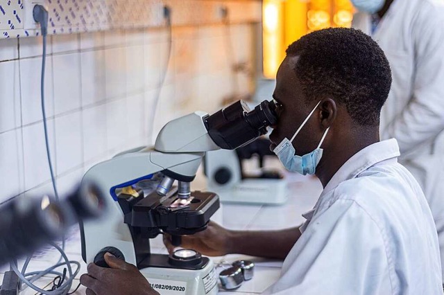 Forscherinnen und Forscher aus Burkina... Schutzausrstungen wie Moskitonetzen.  | Foto: Felix Lill