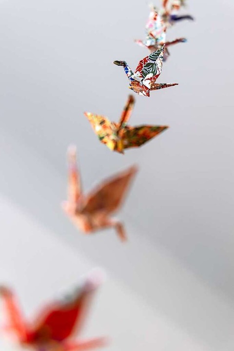 Origami-Kunst in der Freiburger Tai-Chi-Schule  | Foto: Joss Andres