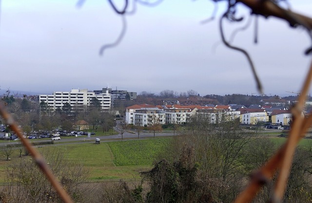 Das Kurgebiet vom Schlatter Berg aus gesehen   | Foto: Frank Schoch