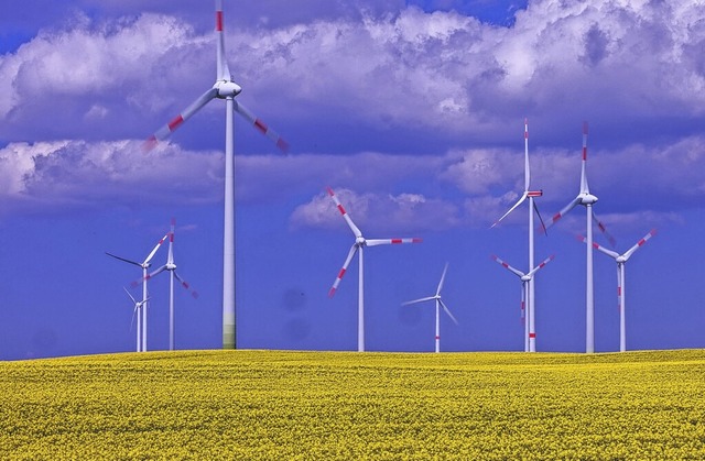 Diese Windrder gibt es in Mecklenburg-Vorpommern tatschlich.  | Foto: Jens Bttner (dpa)