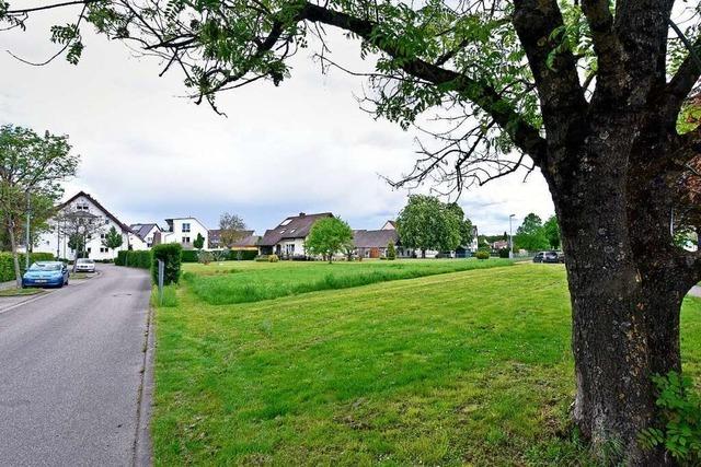 Ortschaftsrat Lehen ist wegen Bauprojekt sauer auf Freiburger Stadtverwaltung