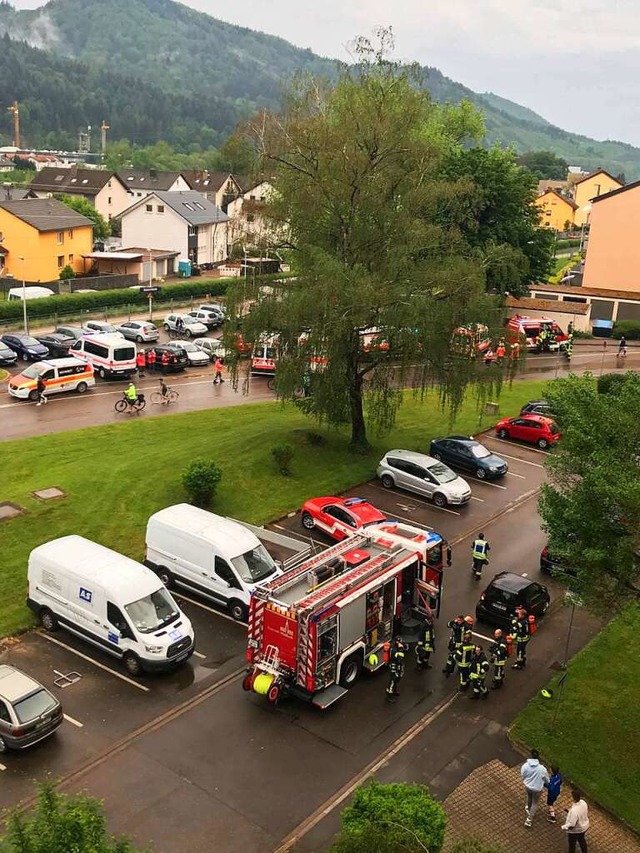 Der Einsatz war nach wenigen Minute beendet.  | Foto: Feuerwehr Waldkirch