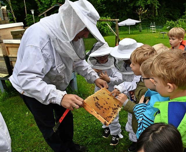 Der Honig direkt aus dem Bienenstock beeindruckte die Kinder.  | Foto: Heinz und Monika Vollmar