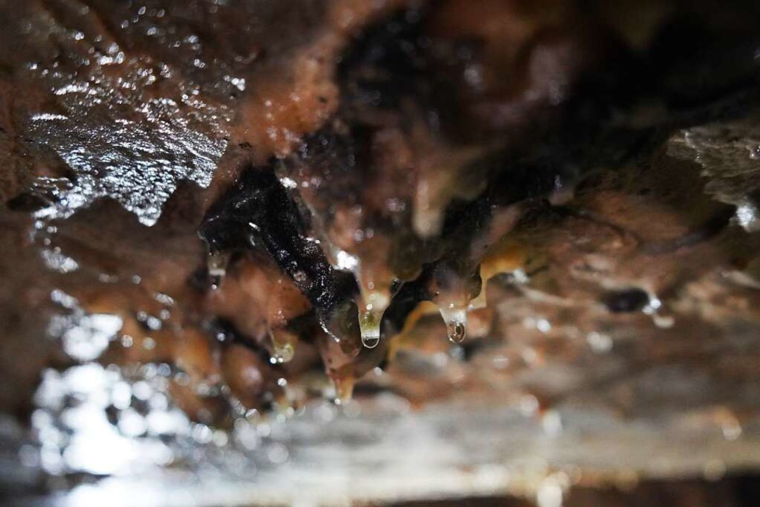 Die Erdmannshöhle wird ihrem Namen meh...ropft und tropft, wohin man auch geht.  | Foto: Lisa Petrich