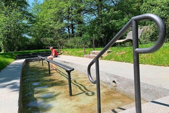 Schuhe aus, Hosen hoch und ab ins Sulzburger Wassertretbecken