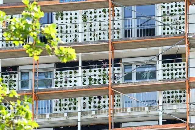 Im Gr�nsein ist Freiburg allen turmhoch �berlegen