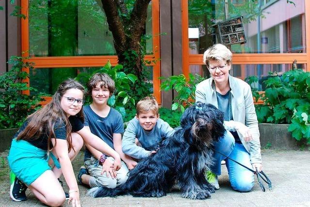Warum Schulhund Theo ein Gewinn für die Merzhauser Grundschule ist