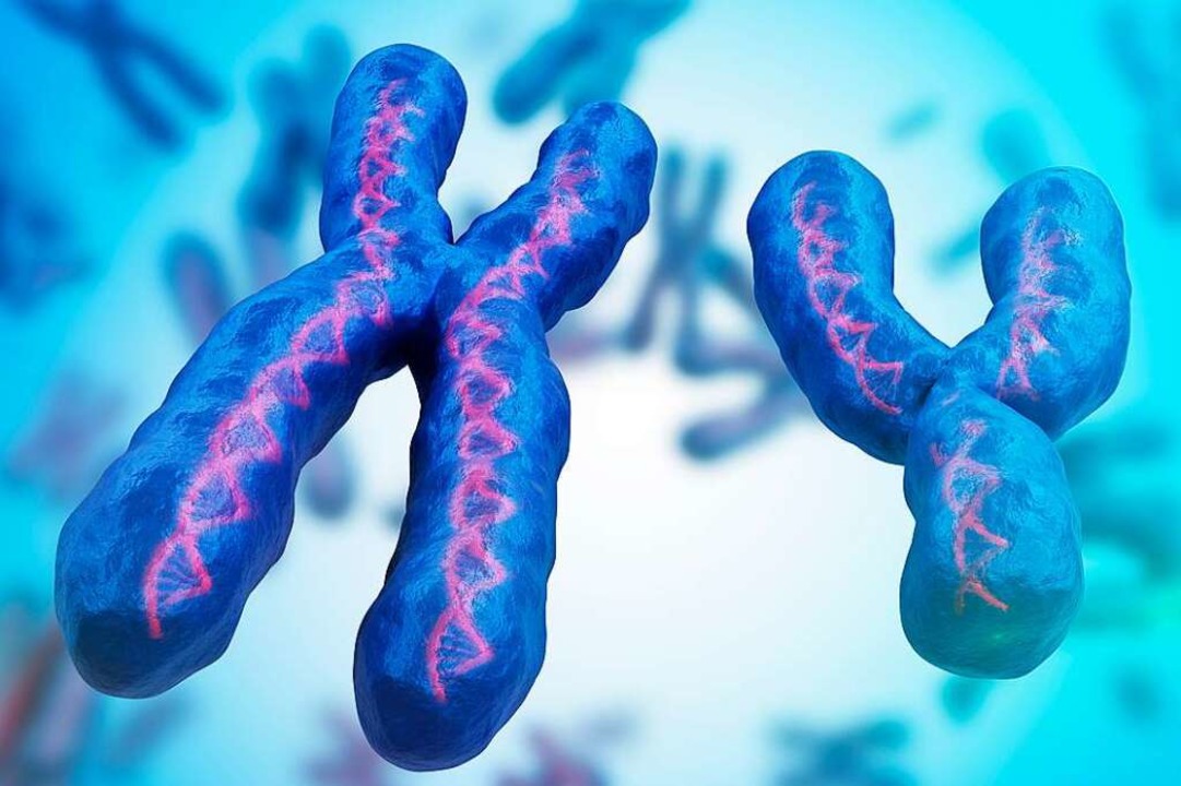 Warum Werden Frauen älter Als Männer www.badische-zeitung.de