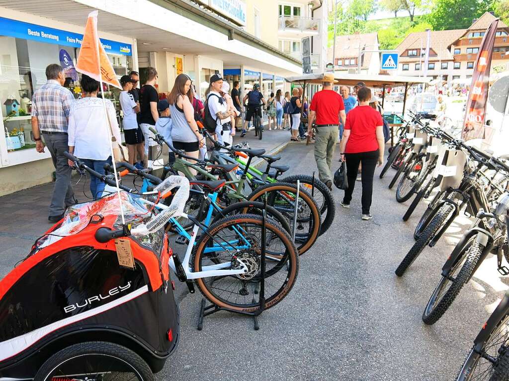 Ein vielfltiges Angebot auf dem Hobby- und Kreativmarkt lockte unzhlige Besucher in die Bonndorfer Innenstadt.