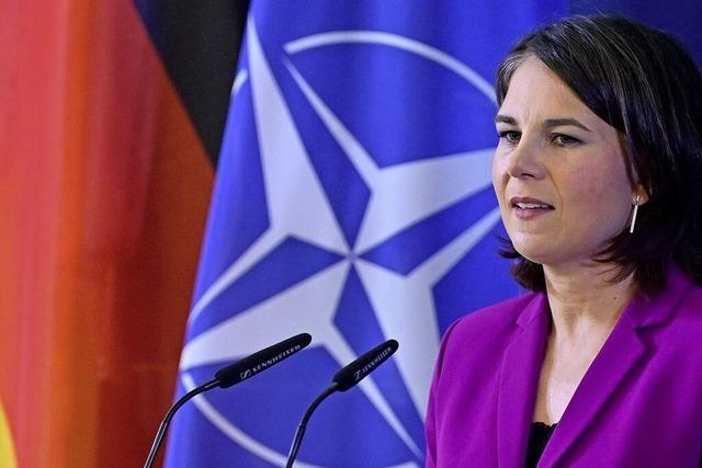 Nato plant Schutzschirm fr Anwrter