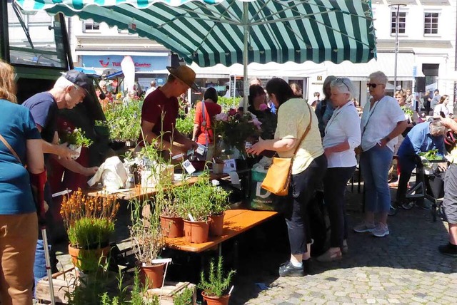 Gut besucht war der Kaisersthler Regionalmarkt auf dem Emmendinger Marktplatz.  | Foto: Sylvia-Karina Jahn