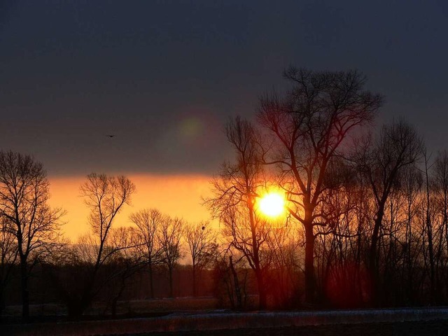 Sonnenaufgang bei Dundenheim.  | Foto: Sabine-Susann Singler