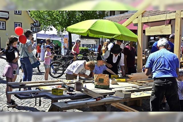 Neuauflage in zwei Jahren ist geplant