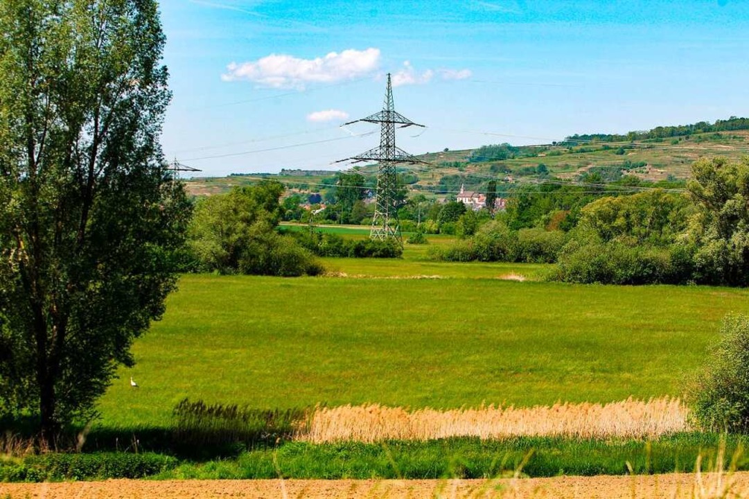 Blick ins Ried von Gottenheim in Richt...1 wrde das Niedermoor durchschneiden.  | Foto: Daniel Hengst