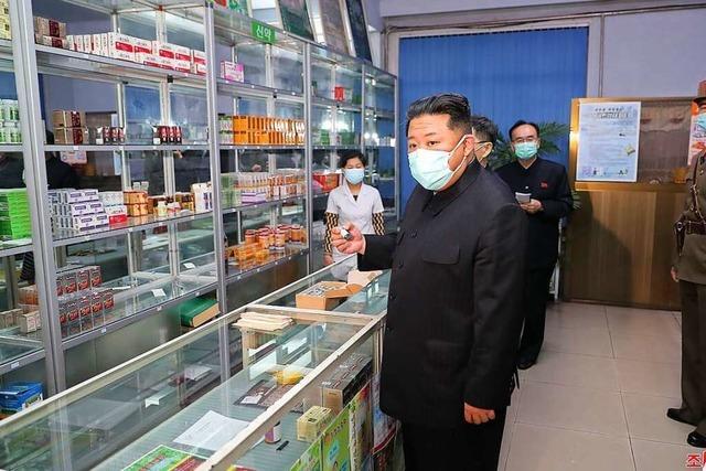 Ist Nordkorea eigentlich auf die Corona-Pandemie vorbereitet?