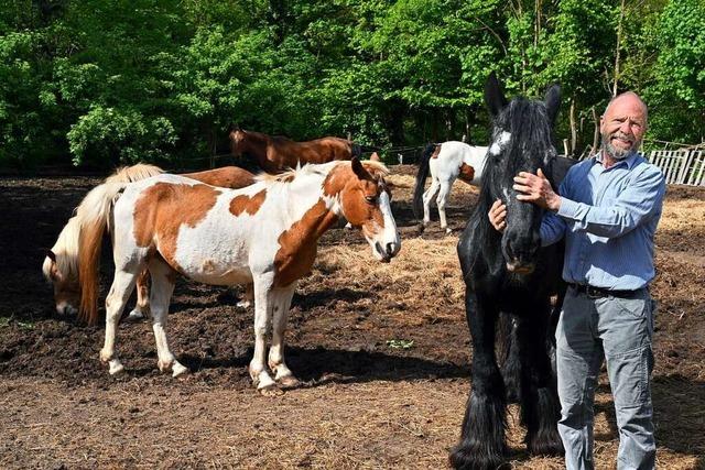 Baustelle statt Weiden: Fr die Pferde von Tom’s Ranch knnte es bald kein Heu mehr geben