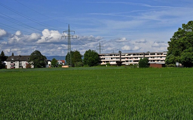 Dort soll das  Baugebiet Rmern in Rheinfelden-Herten entstehen.  | Foto: Heinz und Monika Vollmar