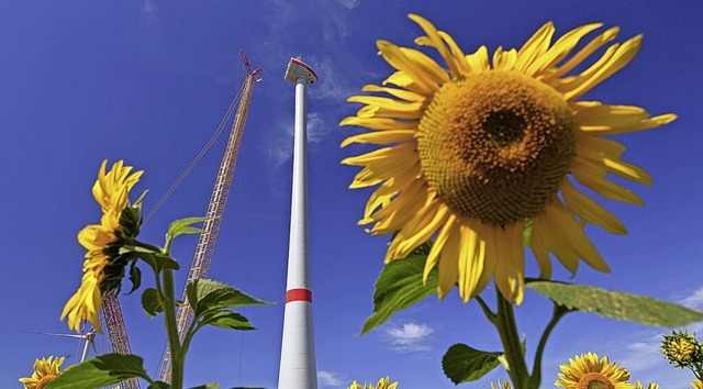 Die EU will, dass die Genehmigungsverfahren fr Windparks beschleunigt werden.   | Foto: Patrick Pleul (dpa)