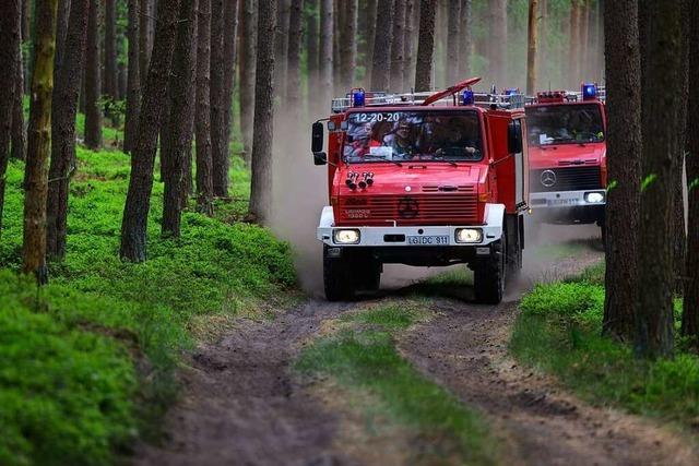 Wie Fliegenklatschen der Feuerwehr bei Waldbränden helfen können