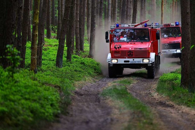 Enge Waldwege knnen zur Herausforderung fr Lschfahrzeuge werden.  | Foto: Philipp Schulze (dpa)