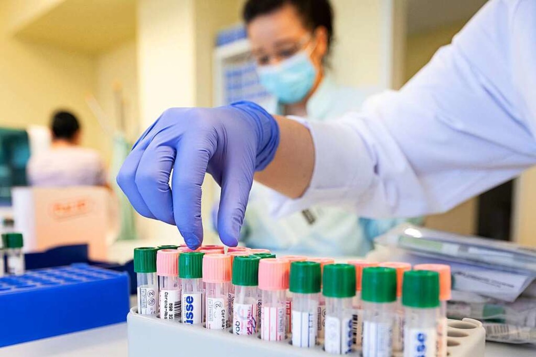 Labormitarbeiterinnen etikettieren ein...weis unter Verwendung der PCR-Methode.  | Foto: Sebastian Kahnert (dpa)