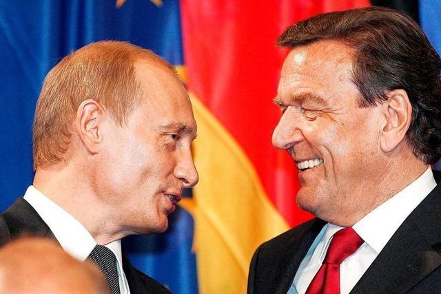 Gerhard Schröder ist ein Dickkopf, aber kein Verbrecher