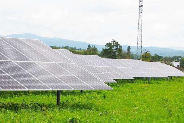 Solarpark an der A98 bei Eimeldingen erzeugt Strom für 230 Haushalte