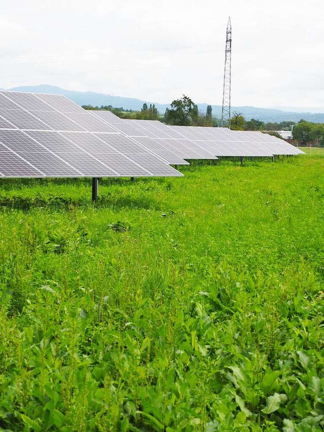 .Die Solartafeln stehen schon seit ein... sind sie aber erst seit zwei Monaten.  | Foto: Herbert Frey