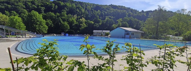 Blick durch eine neu gepflanzte Hecke ...nd Schwimmerbecken im Waldshuter Bad.   | Foto:  Juliane Schlichter