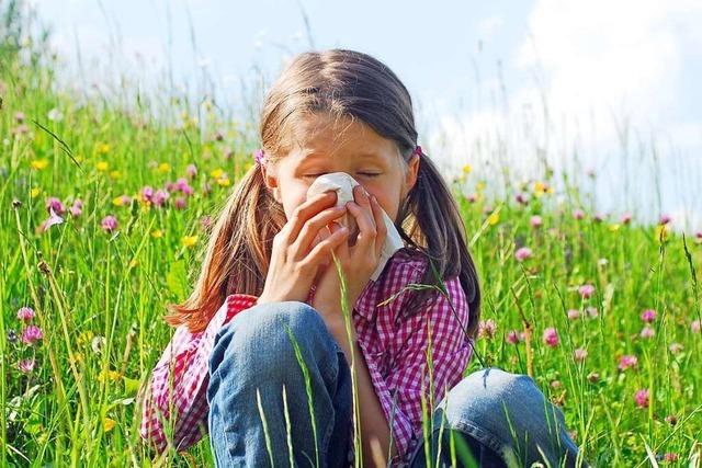 Warum müssen viele Pollen-Allergiker derzeit besonders häufig niesen?