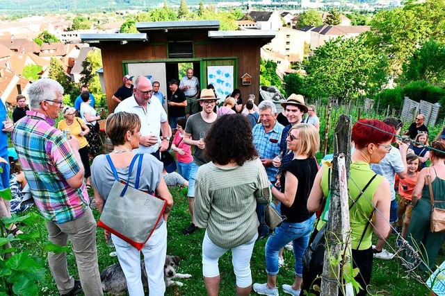 Zwischen den Reben konnten die Besucher die Weine verkosten.  | Foto: Heinz und Monika Vollmar