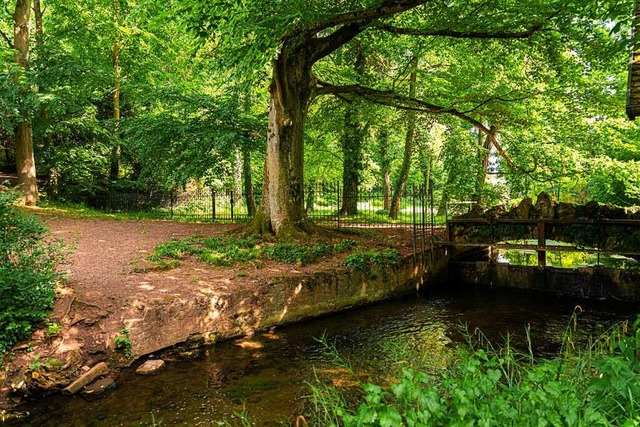 Impressionen aus dem Englischen Garten in Hugstetten  | Foto: Hubert Gemmert