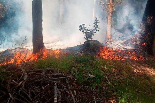 Stegener Feuerwehr löscht Brand im Wald bei Eschbach