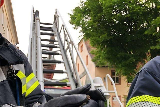 Feuerwehr Waldkirch rettet Katze und Vogel – an einem Abend