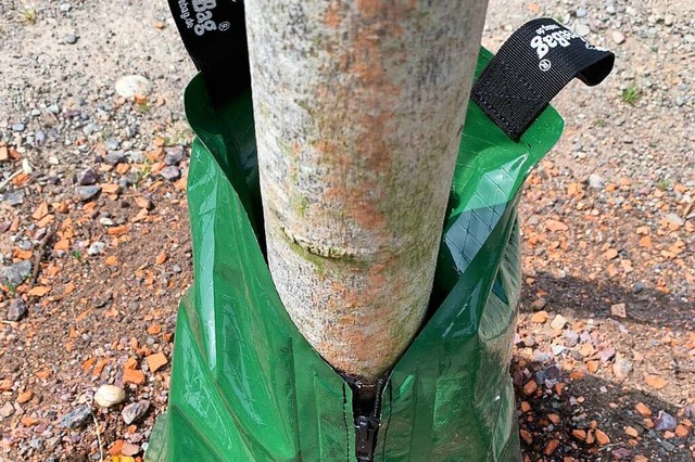 Mit sogenannten Wetbags, also Wassers...ender Trockenheit im Sommer geschtzt.  | Foto: Simone Hhl