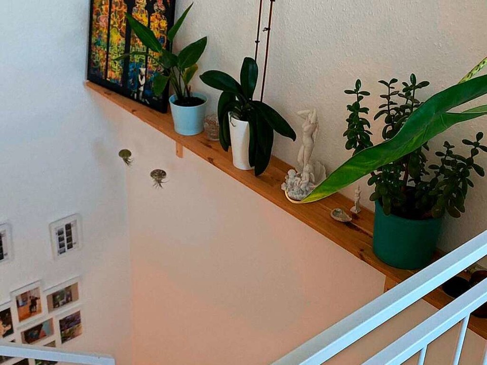 Minimalistisch und mit einigen Zimmerpflanzen hat Nina die Wohnung dekoriert.  | Foto: privat