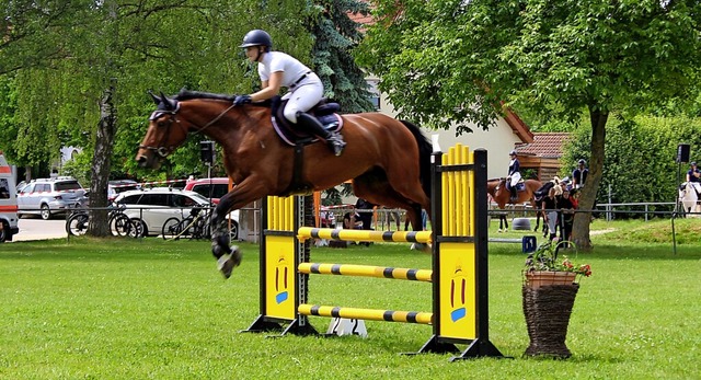 Sportliche Hchstleistungen von Ross und Reitern waren in Buggingen zu sehen.  | Foto: Jennifer Ruh