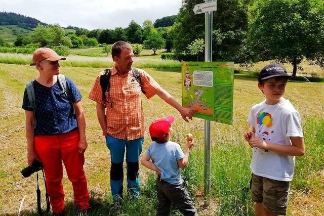Vogtsburg hat einen Vulkanerlebnispfad für Familien eröffnet