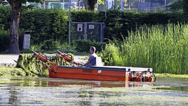 Laichkraut-Mhboot auf dem Stadtrainsee in Waldkirch  | Foto: Stadt Waldkirch