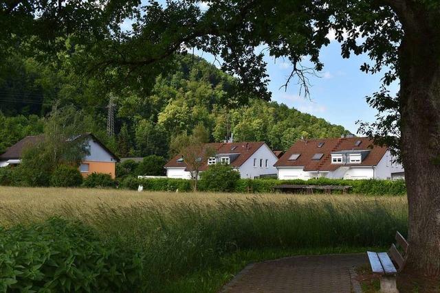 Gemeinderat Steinen gibt Grünes Licht für Baugebiet Scherracker