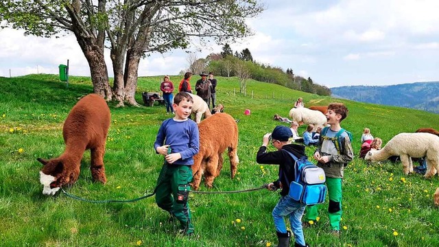 Die Familienklasse der Grundschule Gersbach bei der Alpaka-Wanderung  | Foto: privat