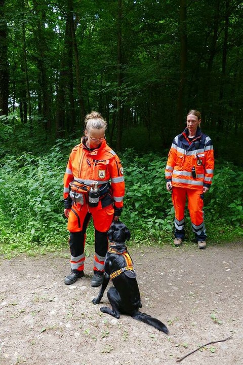 Im Restriktionsgebiet suchen speziell ...nd Felder nach toten Wildschweinen ab.  | Foto: Hannes Selz