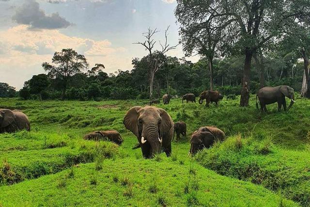 Eine Markgrflerin lie sich in Afrika zum Safari-Guide ausbilden