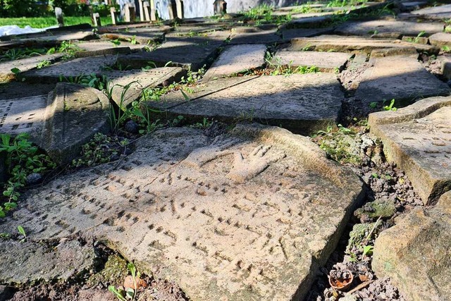 Auf dem Alten Jdischen Friedhof sind Grabsteinfragmente einbetoniert.  | Foto: Stefan Ammann
